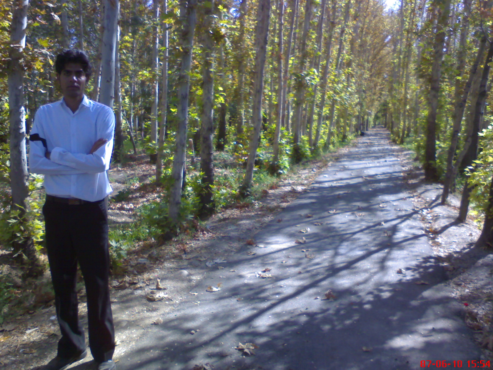 درختان هم خجالت می کشند!